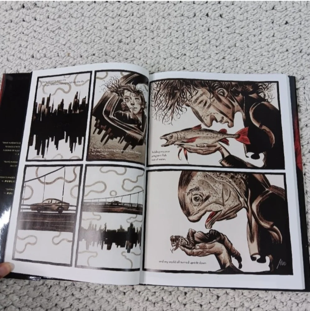 NWT Dream States: The Collected Dreaming Book 1997-2014 by Dave McKean Hardcover - Picture 4 of 6